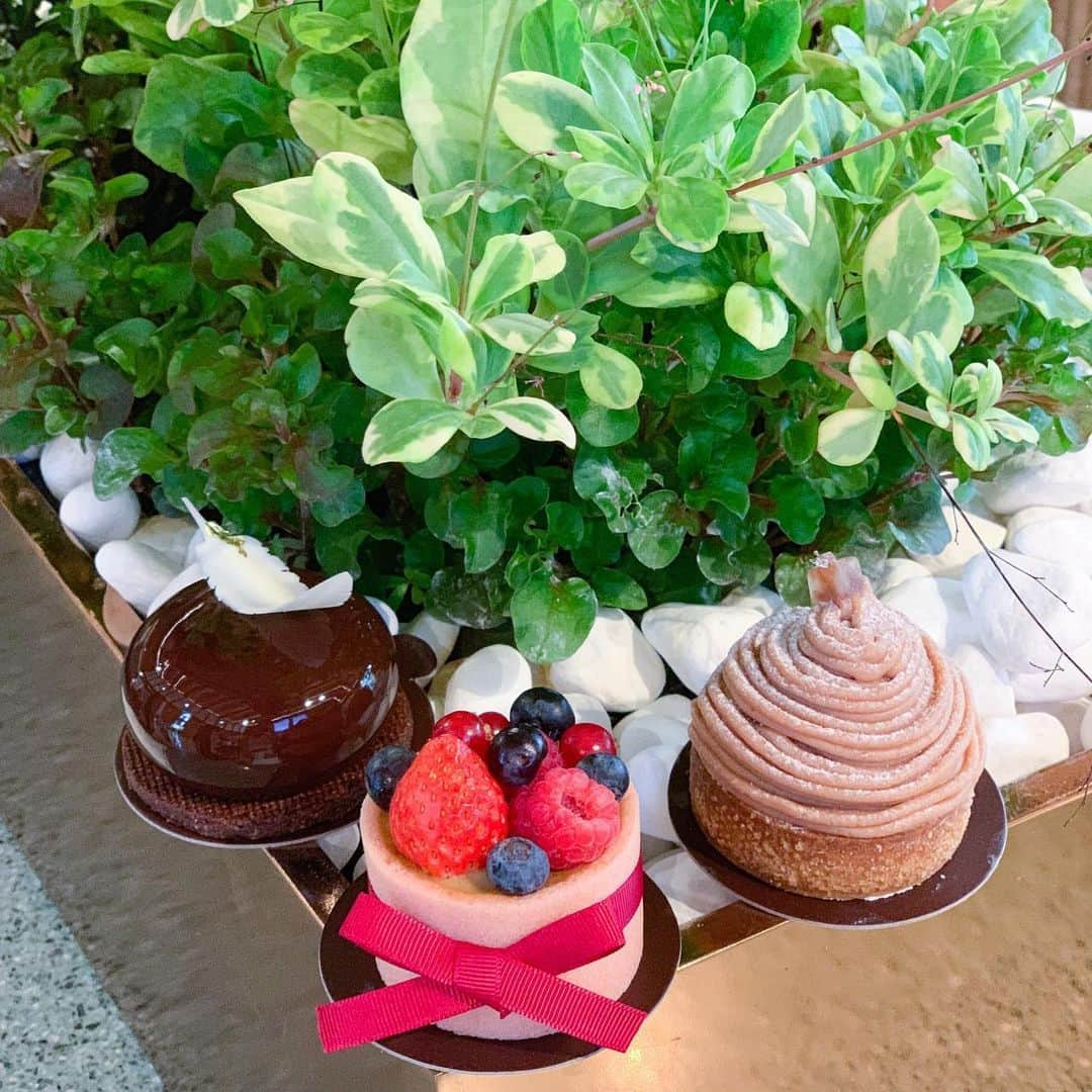 Little Miss Bento・Shirley シャリーさんのインスタグラム写真 - (Little Miss Bento・Shirley シャリーInstagram)「So blessed with amazing treats from European inspired patisserie Origin + Bloom, helmed under Chef Antonio @antonio.bu (previously the pastry chef of Michelin starred Joel Robuchon)  My favorites have to be the Mont Blanc (limited time), Mango and Black Symphony. Visually gorgeous, multi textural in their flavors, each of them were worth the space in my belly. Time to make a trip down again to @marinabaysands for their handcrafted pastries, chocolates and cakes.」10月4日 13時47分 - littlemissbento