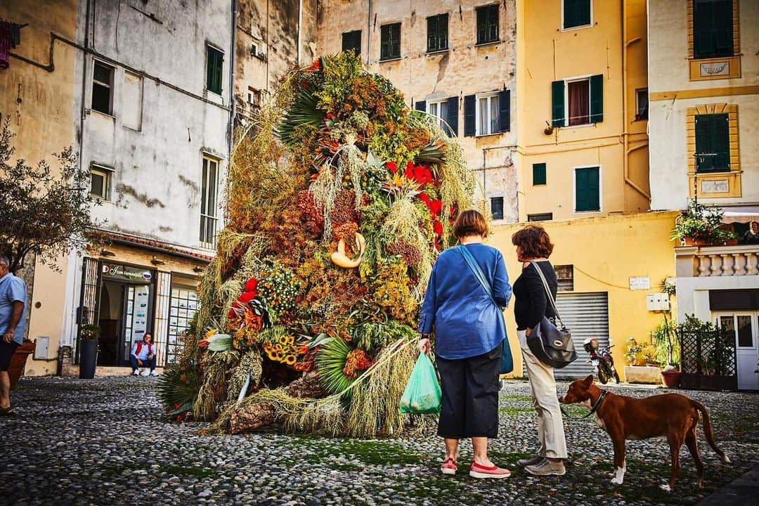 椎木俊介さんのインスタグラム写真 - (椎木俊介Instagram)「Botanical Sculpture in Sanremo  Date: October 3 Thursday, 2019 Location: Piazza Sansiro  43.816754,7.773636 *Please insert this numbers to your Google map.  @azumamakoto @amkk_project @shiinokishunsuke  #azumamakoto #makotoazuma #shiinokishunsuke #amkk #amkkproject #flowers #flowerart #botanicalsculpture #東信 #東信花樹研究所 #itaria #sanremo」10月5日 0時48分 - shiinokishunsuke