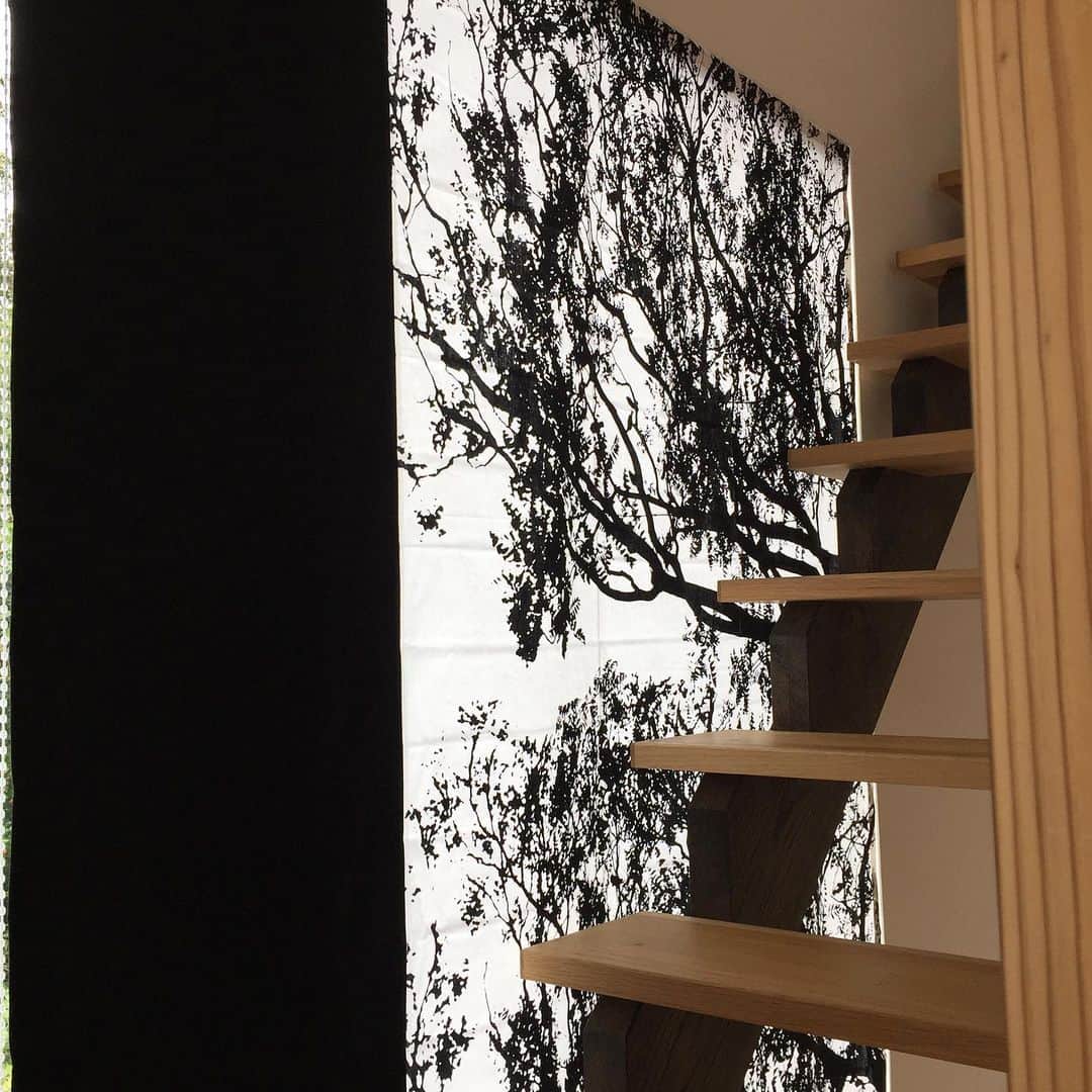インテリアショップ メルサさんのインスタグラム写真 - (インテリアショップ メルサInstagram)「アートフレーム感覚で施工させて頂いた プレーンシェード。 高さ2m40cmあるFIX窓に @marimekko の #tuuli と イギリスのファブリックブランド @villanovafabric の コットンファブリックとの組み合わせです。 発色の良い綺麗な黒のおかげで 木々がとても引き立ちました！  #marimekko #トゥーリ #villanova  #北欧インテリア #新築 #リフォーム #リノベーション #カーテン  #インテリアコーディネート #Merusa #豊岡 #兵庫」10月4日 16時26分 - merusa_interior