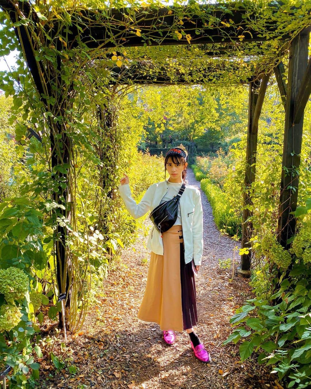 小森未彩さんのインスタグラム写真 - (小森未彩Instagram)「草木も秋の装い」10月4日 16時42分 - misae_komori
