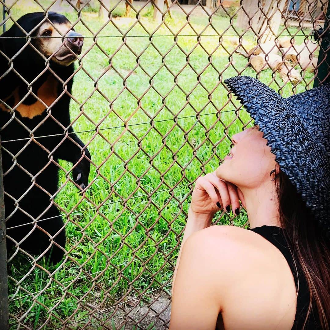 マギー・Qさんのインスタグラム写真 - (マギー・QInstagram)「Layla you magnificent being. ♥️ @animalsasia #vietnambearrescue」10月4日 17時39分 - maggieq