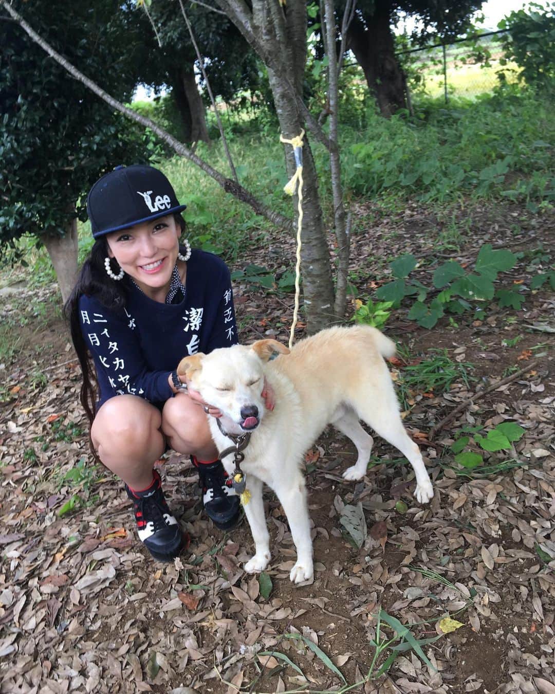 福山理子さんのインスタグラム写真 - (福山理子Instagram)「筑波サーキットにいた、迷子になってしまっただろうわんちゃんです。保護していただいてますので、お心あたりある方はご連絡下さい。すごくすごく愛されて育っているみたい。飼い主さんも絶対に寂しいはず😭 #迷子犬 #迷子犬情報  #迷子のわんちゃん  #筑波サーキット」10月4日 17時41分 - rikofukuyama
