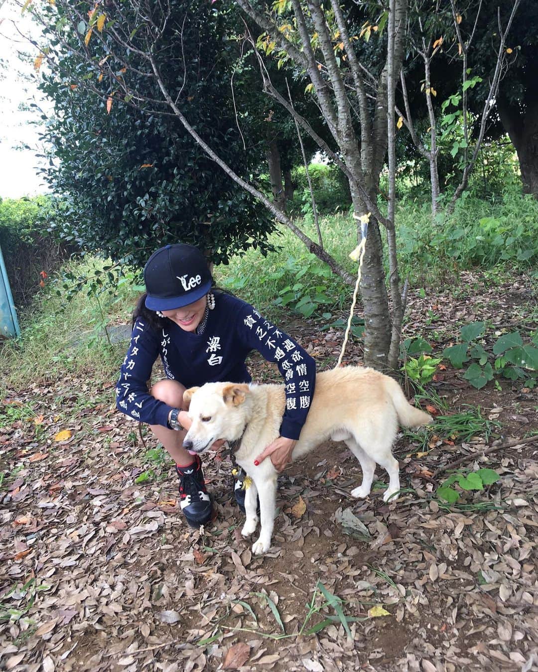 福山理子さんのインスタグラム写真 - (福山理子Instagram)「筑波サーキットにいた、迷子になってしまっただろうわんちゃんです。保護していただいてますので、お心あたりある方はご連絡下さい。すごくすごく愛されて育っているみたい。飼い主さんも絶対に寂しいはず😭 #迷子犬 #迷子犬情報  #迷子のわんちゃん  #筑波サーキット」10月4日 17時41分 - rikofukuyama