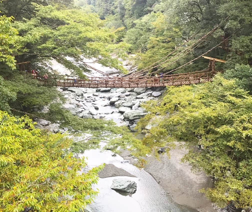 逢月あかりさんのインスタグラム写真 - (逢月あかりInstagram)「徳島出張の合間に、かずら橋に行って来ました✨ . . スリル満点で、、 渡ろうと思ったのですが😖 3メートルで引き返して来ました💦💦 . . 遠くから眺める派です😖笑 . . #徳島#観光#かずら橋#祖谷のかずら橋 #徳島らーめん #絶景#trip#Japan#tokushima」10月4日 17時54分 - akari.ouzuki