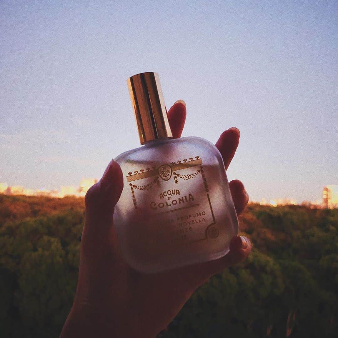 林田岬優さんのインスタグラム写真 - (林田岬優Instagram)「Santa Maria Novella 🌸Cinquanta 🌸 自分のちょっとした遊び心なのですが、役に合わせて香水をえらんでいます。先日の舞台の時には、この香りをつけました。  甘い木香と、グリーンティー、フローラルな香り。グリーンティーの香りが和な気分にさせてくれ、高貴な木香を漂わせてくれたので、この香りをえらびました。 香りって記憶に残りやすいから、 この香水をつけるたび 思い出してしまうかも。笑  #SantaMariaNovella#Cinquanta」10月4日 18時09分 - miyu_hayashida