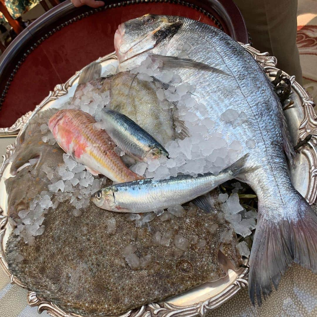 夏木マリさんのインスタグラム写真 - (夏木マリInstagram)「お天気の日は、 お庭をみながら、シーフードランチ🦐  このバターも、海テイストのふたつ‼︎ #lunch #seafood #garden #feelinggood #NATSUKIROCK  #夏木マリ @mari_natsuki」10月4日 18時26分 - mari_natsuki