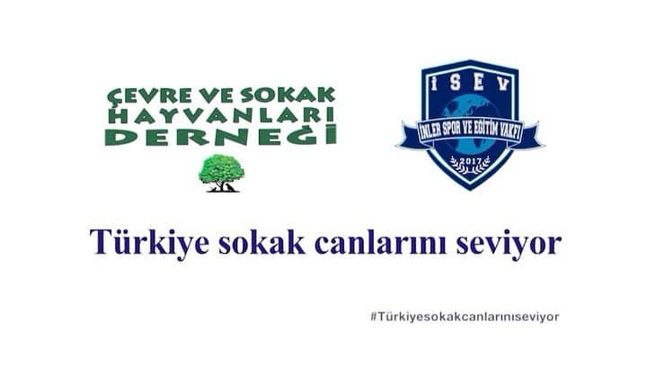 のインスタグラム：「Tüm can dostlarımızın Dünya Hayvanları Koruma Günü kutlu olsun. Onların Yanındayız. #TürkiyeSokakCanlarınıSeviyor #HayvanlarıKorumaGünü #4EkimDünyaHayvanlarıKorumaGünü #HayvanHakları #HayvanaŞiddeteHayır  Happy World Animal Day to all my paw friends. It's an international day of action for animal rights and welfare. Let's take care of them #worldanimalday . . . @sabancidemet @suleymanorakcioglu #profdrbingürsönmez @altangordum @aslisafak @oylumtalub @gulizayla @goncavuslateri @birceakalay @atiyed @pamirpekin @esrabalikkci @hakkiorion @muradkucuk @nesemesutoglu @orionstudios_tr  @tayfuncetindag @isevorgtr @cevrevesokakhayvanlari @gateskantarci @hellodergisi  #isevvakfi」