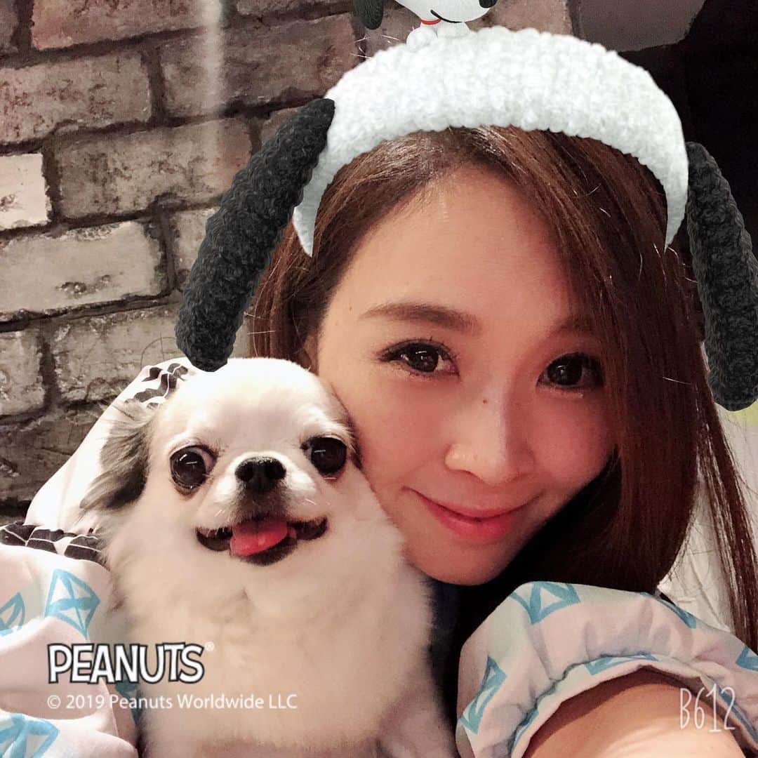 愛内里菜のインスタグラム：「東京出張からただいまー！﻿ ﻿ 息子のごはんも終えて﻿ ホッと一息😊﻿ ﻿ 夜中０時から１時までの1時間ほど﻿ ポコチャ配信します😊‼️﻿ ﻿ 明日が息子幼稚園おやすみだから﻿ ちゃんと配信できるか心配で😅﻿ ﻿ ポコチャイベント初参加中🌈﻿ 応援してくれてるみなみなさまー😆﻿ ありがとうございます😌🙏🙏🙏‼️﻿ ﻿ ﻿ #生配信 #配信アプリ﻿ #ポコチャ﻿ #愛内里菜 改め #R として #歌手 再始動﻿ #垣内りか #垣内倶楽部 ﻿ #新曲 #邦ロック#ミュージック#音楽の力﻿ #音楽 #スヌーピー」