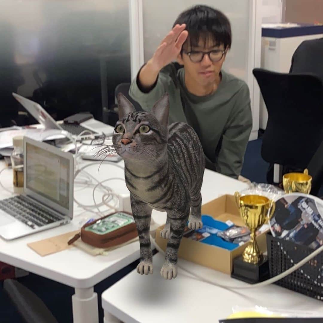 土井コマキさんのインスタグラム写真 - (土井コマキInstagram)「最近は家やら局やら、いつでもgoogle先生にお願いして猫を呼び出してます。癒されるはずが、余計に寂しくなる。猫飼いたいなあ。」10月5日 1時28分 - doikomaki