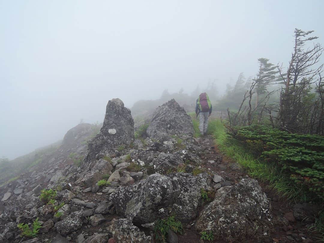 中村葵さんのインスタグラム写真 - (中村葵Instagram)「＊ ＊ 霧 ＊ ＊ ひたすら霧と風がすごかった。。 小雨の中、急斜面を無心でひたすら登っていきました。。。笑 ＊ ＊ ＊ #登山 #登山女子 #山登り #山登り好きな人と繋がりたい #山ガール #山歩ガール #八ヶ岳 #権現岳  #天の河原からがきつかった #japan #japan_vacations」10月4日 21時58分 - aoinakamura123