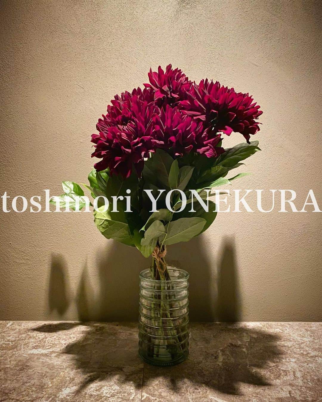 米倉利紀さんのインスタグラム写真 - (米倉利紀Instagram)「flowers of this week #flowers #dahlia」10月4日 22時00分 - toshi_yonekura