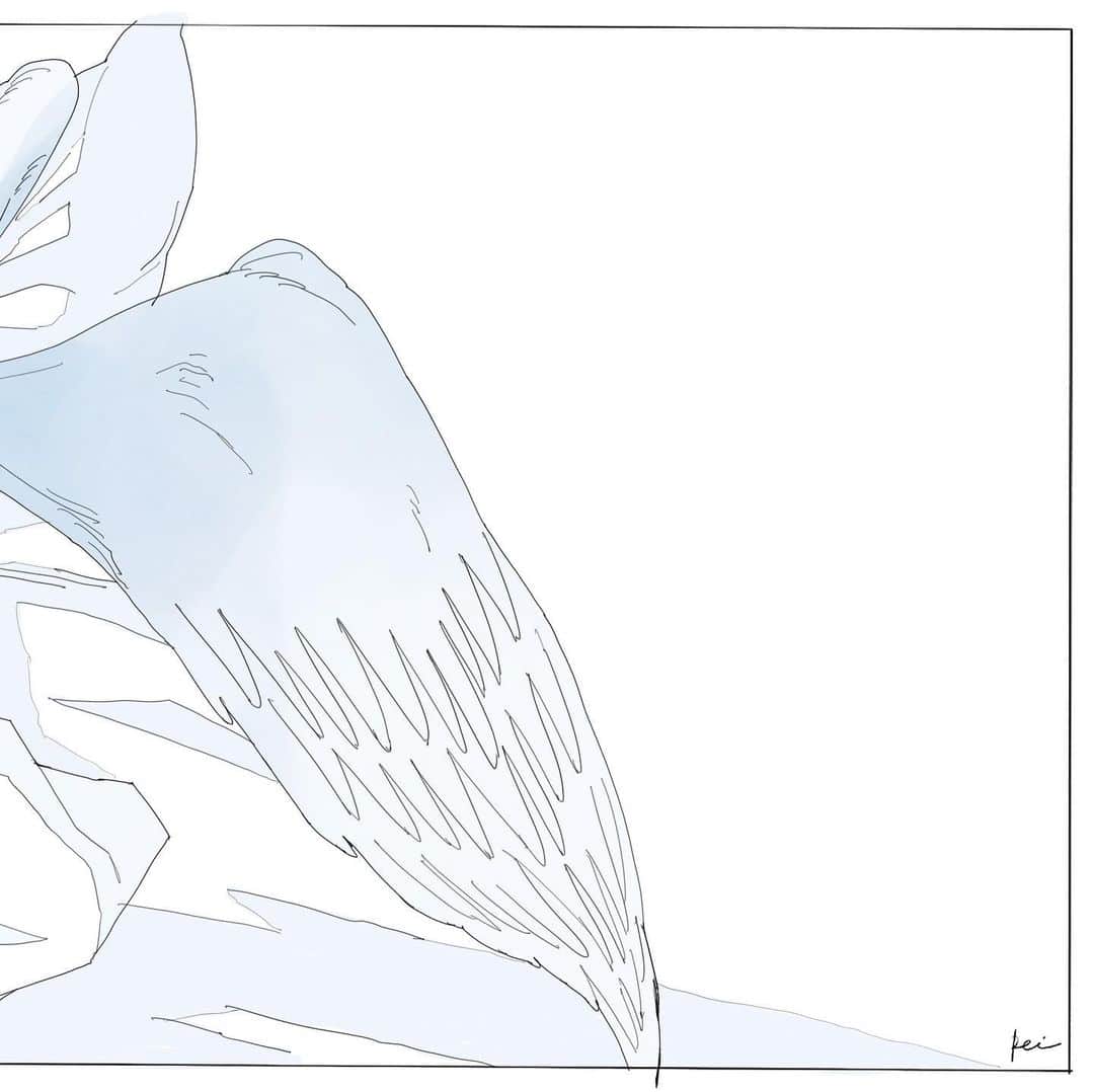 かとうれいさんのインスタグラム写真 - (かとうれいInstagram)「sleeping beauty﻿ ﻿  #天使の日 #20191004 #illustration #artwork #drawing」10月4日 22時48分 - katorei_