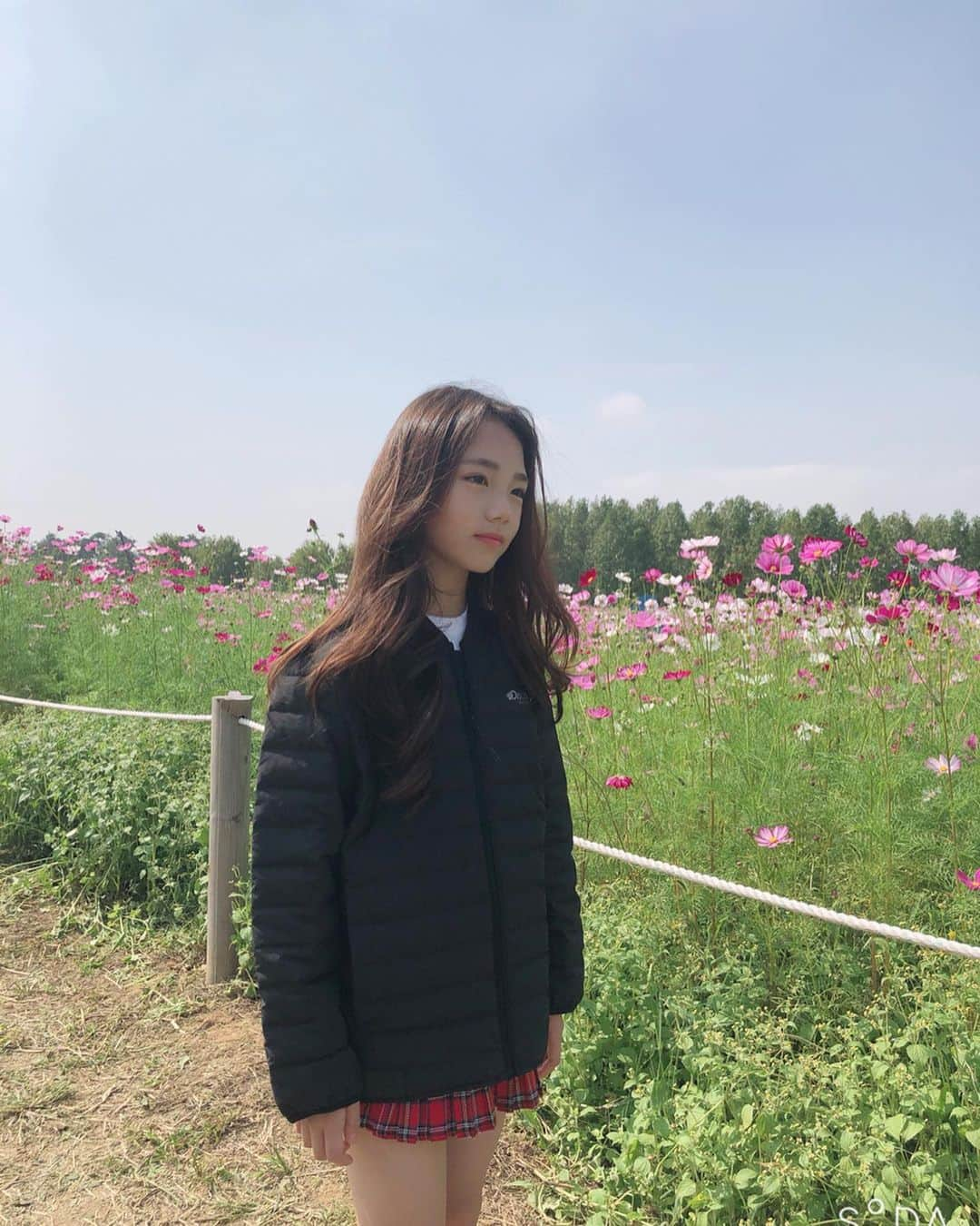 ウンチェさんのインスタグラム写真 - (ウンチェInstagram)「. 넘 예쁜 가을하늘과 코스모스 🌸  그 속엔 몇 년만에 공주병 걸린 은채찌 , . . 👧🏻 내가 꽃처럼 너무 예뻐서  벌이 나한테 오면 어떡하지? (예쁜 꽃들 보더니 너무 들떴나....) . . . #디스커버리익스페디션#디스커버리키즈 #리틀디스커버러#디스커버리키즈경량패딩 #키즈경량패딩#키즈자켓#가을하늘#코스모스 #금요일#일상#daily#키즈모델#이은채」10月4日 23時03分 - __leehye