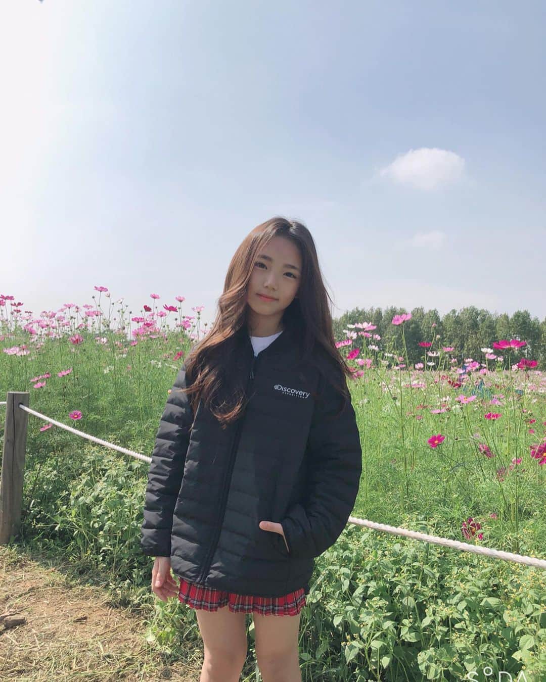 ウンチェのインスタグラム：「. 넘 예쁜 가을하늘과 코스모스 🌸  그 속엔 몇 년만에 공주병 걸린 은채찌 , . . 👧🏻 내가 꽃처럼 너무 예뻐서  벌이 나한테 오면 어떡하지? (예쁜 꽃들 보더니 너무 들떴나....) . . . #디스커버리익스페디션#디스커버리키즈 #리틀디스커버러#디스커버리키즈경량패딩 #키즈경량패딩#키즈자켓#가을하늘#코스모스 #금요일#일상#daily#키즈모델#이은채」