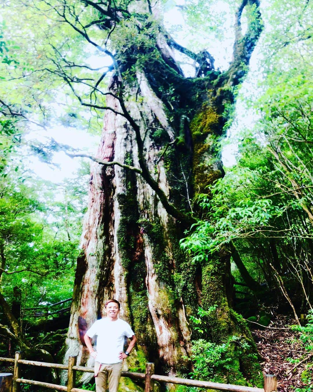 GAKU-MCさんのインスタグラム写真 - (GAKU-MCInstagram)「#プロペラ機 に乗って #お猿さん に歓迎されて、人生初の #屋久島 です！空気が澄んでて森が素晴らしい。樹齢3000年の #紀元杉 の前で記念撮影！本日 #やくしま森祭り ! ハッピーに歌って来ます！ #gakumc #ガクエムシー」10月5日 9時07分 - gaku_mc