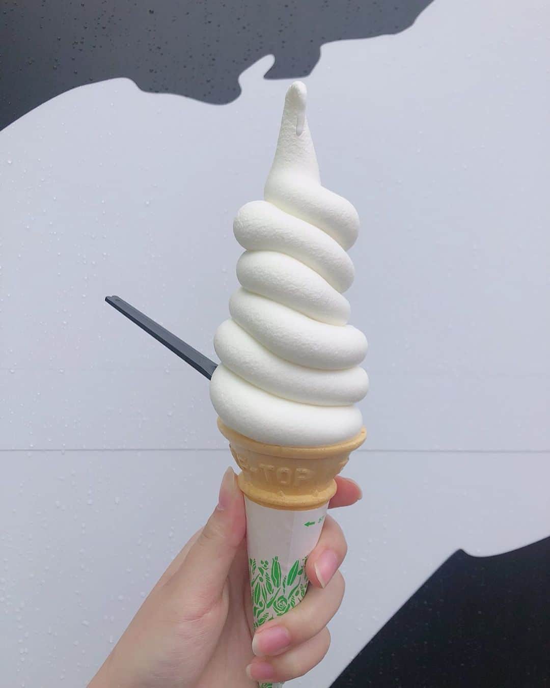 松本愛花のインスタグラム：「🍦 北海道で食べたアイスクリームが 牛乳感強めで めちゃ美味しかった‪♥︎ とてもとても濃厚やった。 次はプライベートの旅行で北海道に 行きたいなぁ〜✈️ 美味しいもの沢山だ！❤️💭 #北海道 #北海道旅行  #北海道グルメ  #北海道観光  #札幌 #さっぽろ #オータムフェスト」