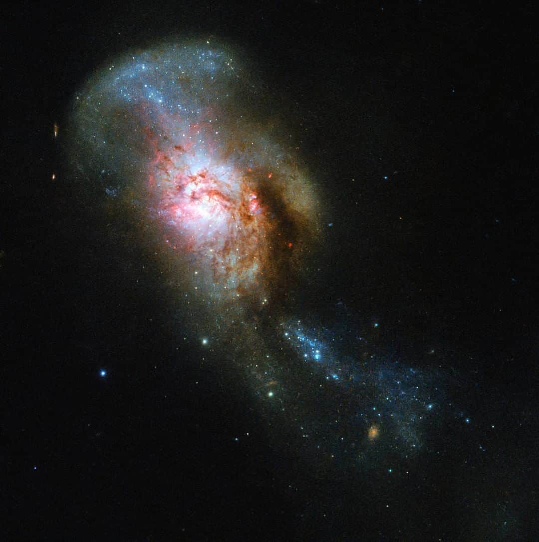 NASAさんのインスタグラム写真 - (NASAInstagram)「Go on. Stare at it.⁣ 👁️ 👁️ ⁣  The legend of Medusa holds that anyone who gazed at her directly would transform into stone. Thankfully you can feast your eyes without fear on this @nasahubble image of the Medusa merger, a galaxy that is actually the collision of two galaxies formed billions of years ago. ⁣⁣⁣⁣ The streams of stars and dust, seen rising from the top of the merged galaxy, resemble the writhing snakes that Medusa, a monster in ancient Greek mythology, famously had on her head in place of hair, lending the object its intriguing name.  Image Credit: ESA/NASA/Hubble⁣⁣⁣ ⁣⁣⁣ #nasa #space #galaxy #astronomy #medusa #snakehairdontcare」10月5日 9時51分 - nasa