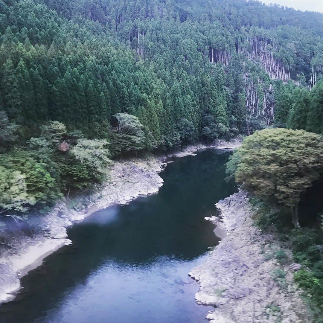 HALCAのインスタグラム
