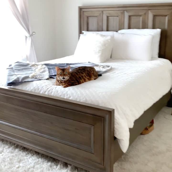 Bensonのインスタグラム：「Good Morning yawns」