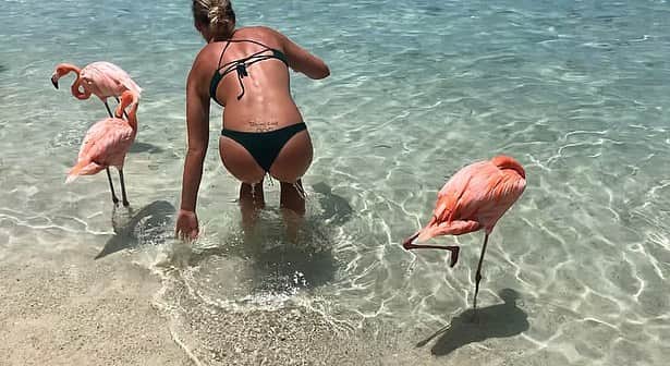 イモージェン・ケアンズさんのインスタグラム写真 - (イモージェン・ケアンズInstagram)「I 💕 flamingos  #aruba #flamingobeach #renaissanceislandaruba」10月5日 3時10分 - imogencairns