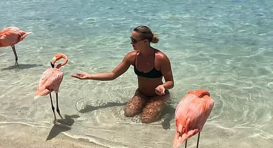 イモージェン・ケアンズのインスタグラム：「I 💕 flamingos  #aruba #flamingobeach #renaissanceislandaruba」