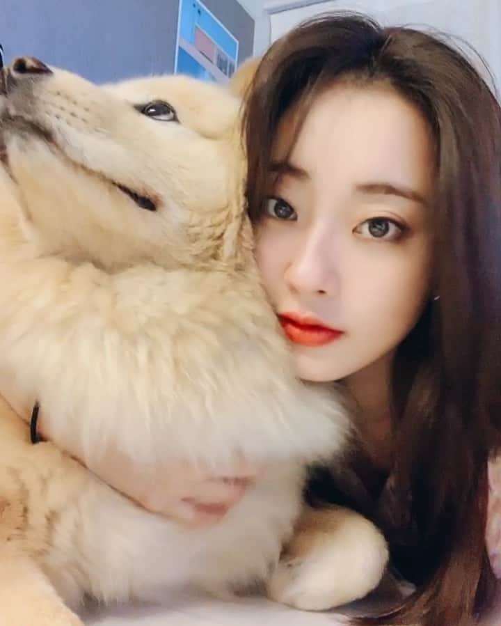 ギョンリ のインスタグラム：「시로는 할무니 바라기ㅠ_ㅠ ❤️❤️❤️ @ice_siro」