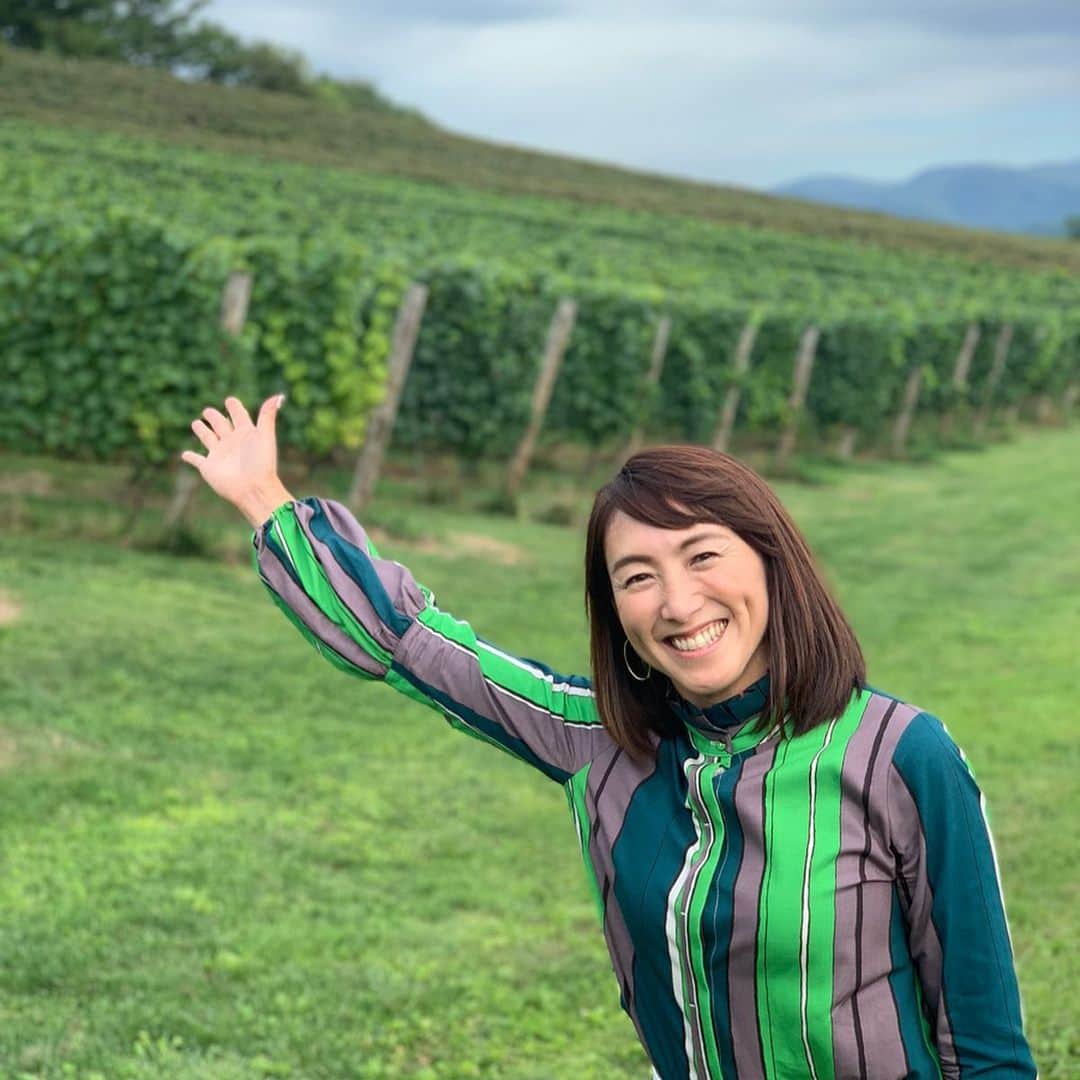 杉山愛さんのインスタグラム写真 - (杉山愛Instagram)「「旅サラダ」で 北海道に行ってきたよーーーーーっ 🍷🍎🍷🍑🍷🍇🍷🚣🏻‍♀️ 行きたい所・やりたいことをガッツリやってきました✨  先ずは小樽でワイングラス作り🍷 その後は余市の果樹園で果物食べ放題🍎🍐🍑 素敵なワイナリーにもお邪魔してきましたよ〜🍷 ニセコではアクティブにラフティング🚣🏻‍♀️🚣🏻‍♀️🚣🏻‍♀️ 幸せなひと時でした💛」10月5日 11時01分 - aisugiyamaofficial