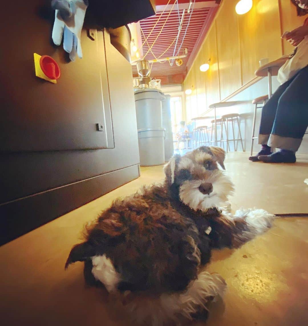 谷川じゅんじのグルメインスタ