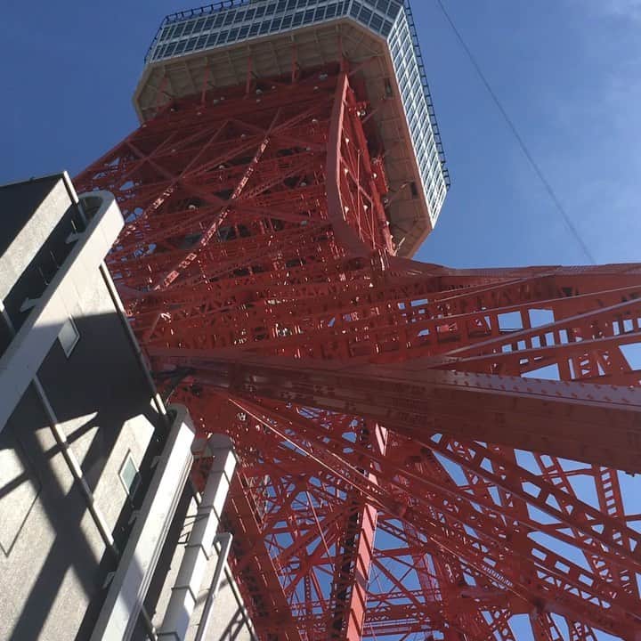 のインスタグラム：「東京タワーのパースすき🗼✨✨」