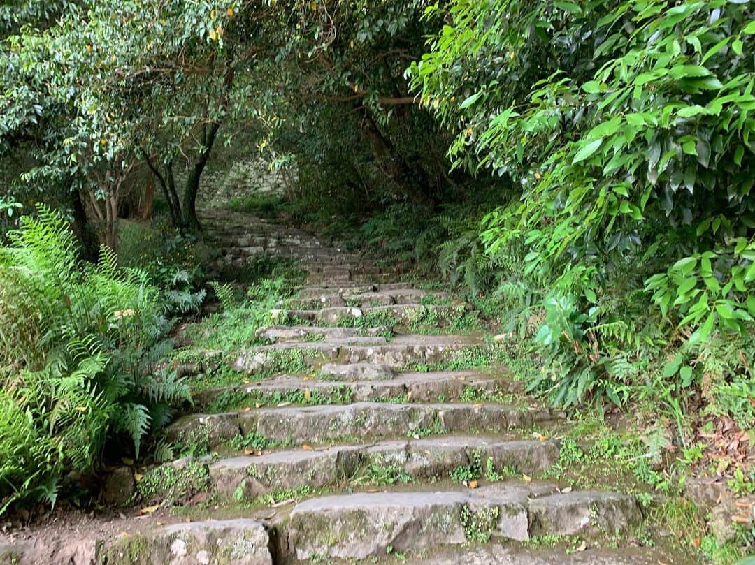 高岡薫さんのインスタグラム写真 - (高岡薫Instagram)「宇和島城！！お城からの景色が最高でした✨✨ #宇和島城」10月5日 11時23分 - kaorumba1129