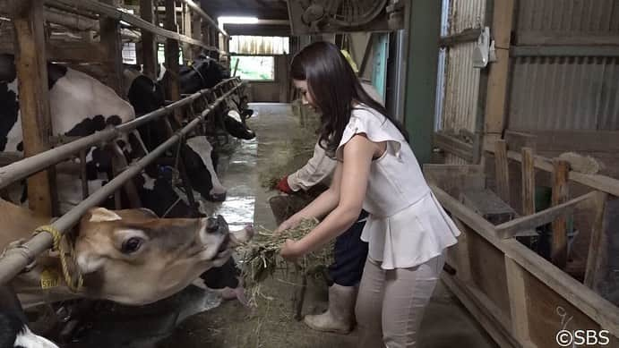 大槻有沙さんのインスタグラム写真 - (大槻有沙Instagram)「今週から改編して、全曜日新しいメンバーでお送りしているsoleいいね☀️！ 私は水曜と木曜のスタジオMCを担当します。 そしてありがたいことに「大槻有沙のお〜つきあいさせてください」という新コーナーまで作って頂きました🙆🏻‍♀️✨ 初回は葵区杉尾という地域にお邪魔して、県内一小さいであろう全校生徒3人の小学校を訪ねました🏫 そしてそこに通う生徒さんが牧場🐄を経営しているということでお宅にお邪魔して、乳搾りを体験させてもらったり、お彼岸のお団子作りをお手伝いさせてもらったりしました🎑 初回からとても人に恵まれて、終始温かく優しく迎えて頂いて感動しっぱなしでした🥺 本当にありがとうございました。 これからも静岡の知らなかった魅力を沢山知っていきたいと思います！ ・ #静岡  #SBSテレビ #soleいいね #大槻有沙のお〜つきあいさせてください #新コーナー #水曜 #木曜 #MC #SBSラジオ #静岡放送 #鉄崎幹人のWASABI #WASABI #アナウンサー #大槻有沙 #follow #followme」10月5日 11時35分 - arisa_otsuki