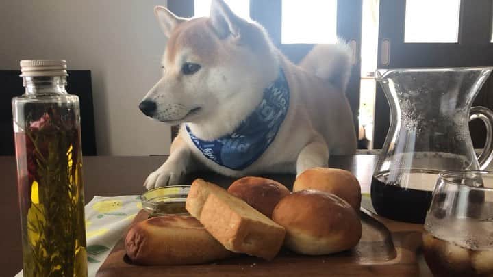 豆助左衛門（まめすけざえもん）のグルメインスタ