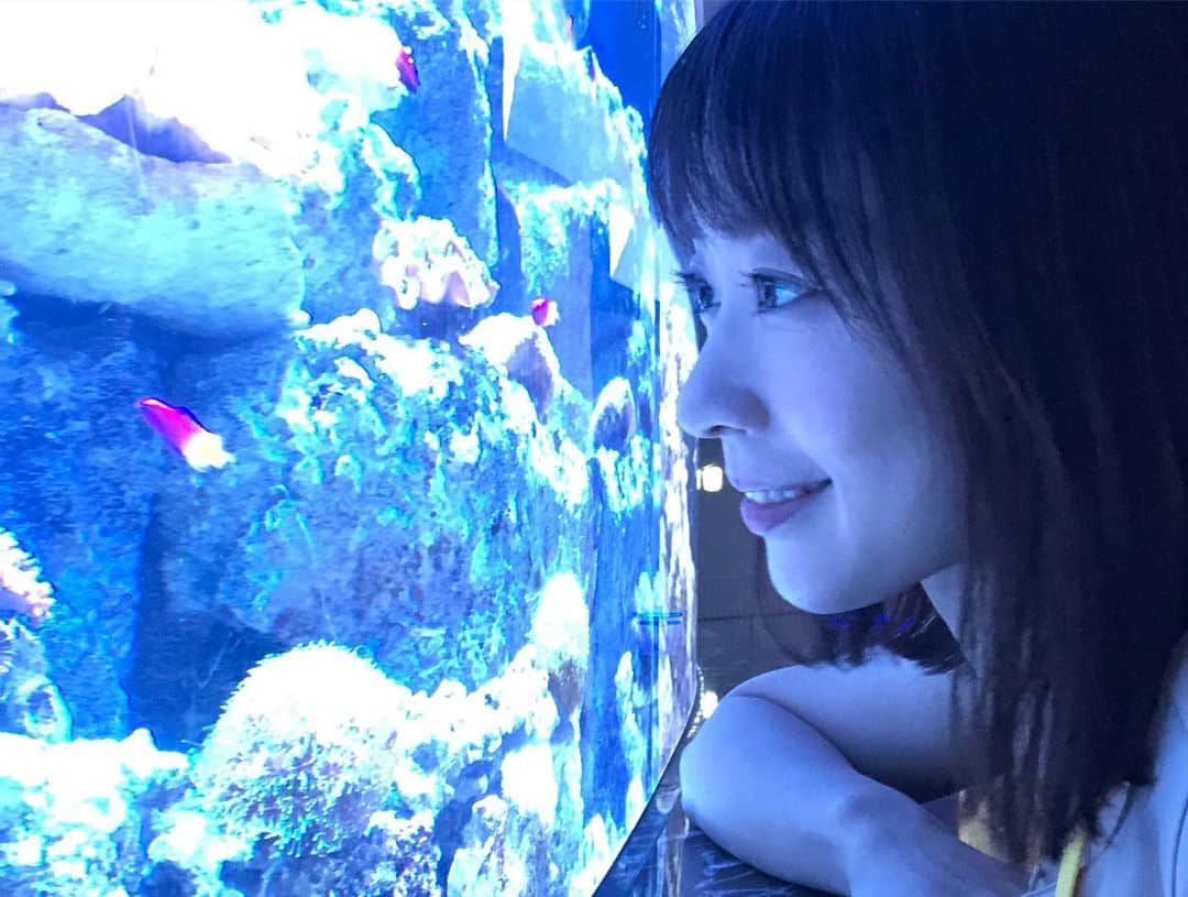 福田麻衣さんのインスタグラム写真 - (福田麻衣Instagram)「#マクセルアクアパーク品川 素晴らしいです。音と光、最先端技術を駆使した水族館。絶対にまた来たい場所が増えました✨素敵すぎる。 #ニッポン放送 #ラブメロ」10月5日 11時46分 - mai2my2