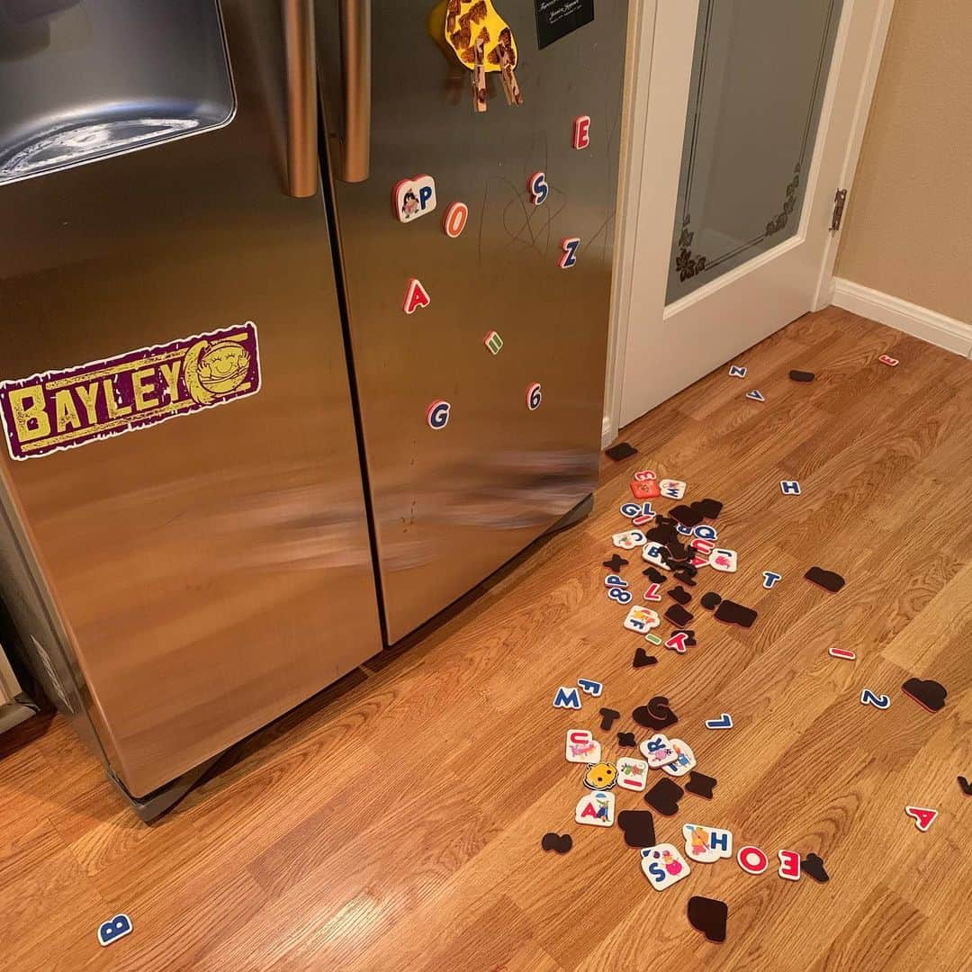 ターニャ・テイトさんのインスタグラム写真 - (ターニャ・テイトInstagram)「So many lovely magnets keep disappearing under the fridge. Apart from the obvious moving the fridge out..... what tool can I put under to get the magnets out? 🧲 😜🙈」10月5日 12時39分 - tanyatate