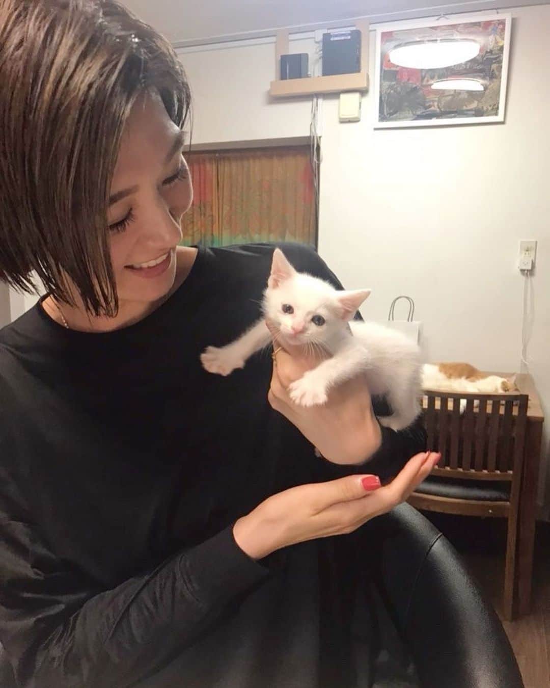 栗原恵さんのインスタグラム写真 - (栗原恵Instagram)「🌰 みゃー🐈❤︎ ・ ・ 最高の癒し🤤 ・ ・ #白猫のハクくん #後ろで寝そべるミミちゃんも好き 笑 #自宅ネイルサロン」10月5日 12時53分 - megumi_kurihara_official