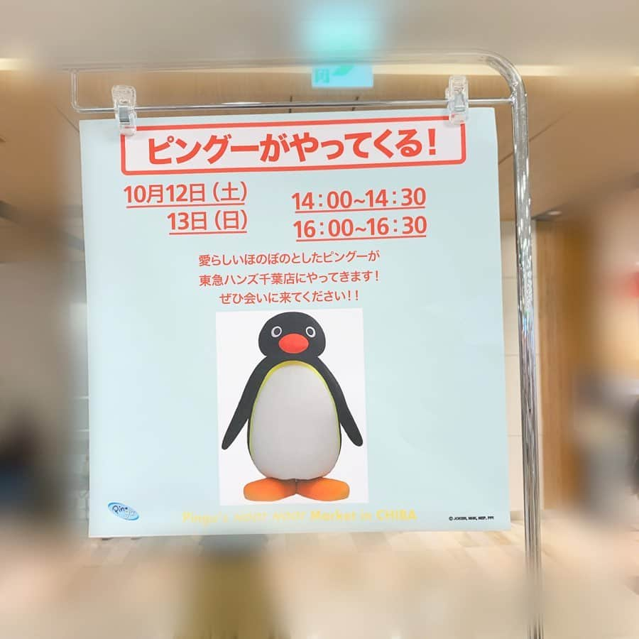 柴本愛沙さんのインスタグラム写真 - (柴本愛沙Instagram)「🍀 東急ハンズ千葉店で開催されている ピングーのPOPUP SHOPに行ってきました♪ ピングー、可愛いよね♡♡ ゆかいな仲間たちとの、かわいいアイテムが たくさんあって目移りしちゃった😍  期間中、ピングー商品を買うと 付箋のプレゼントもあります！ なくなり次第終了なのでお早めにgo💨  10月12日(土)、13日(日)、11月16日(土)、17日(日)には、 なんとお店にピングーが遊びに来るらしい！  POPUP SHOPは11月17日(日)までなので、 ぜひ行ってみてください💓  #charapa #ピングーがやってくる! #ピングー #東急ハンズ千葉店 #千葉 #東急ハンズ #ピングーポップアップショップ #PR #popup #popupshop #popupstore #キャラクター #ポップアップストア #pingu #癒し #可愛い #キャラクター  #ピングーグッズ #ピングーと一緒 #ピングーカフェ #ピングー大好き #雑貨 #土曜日 #週末 #今日も暑いね #秋はどこへ」10月5日 12時51分 - aisa_shibamoto