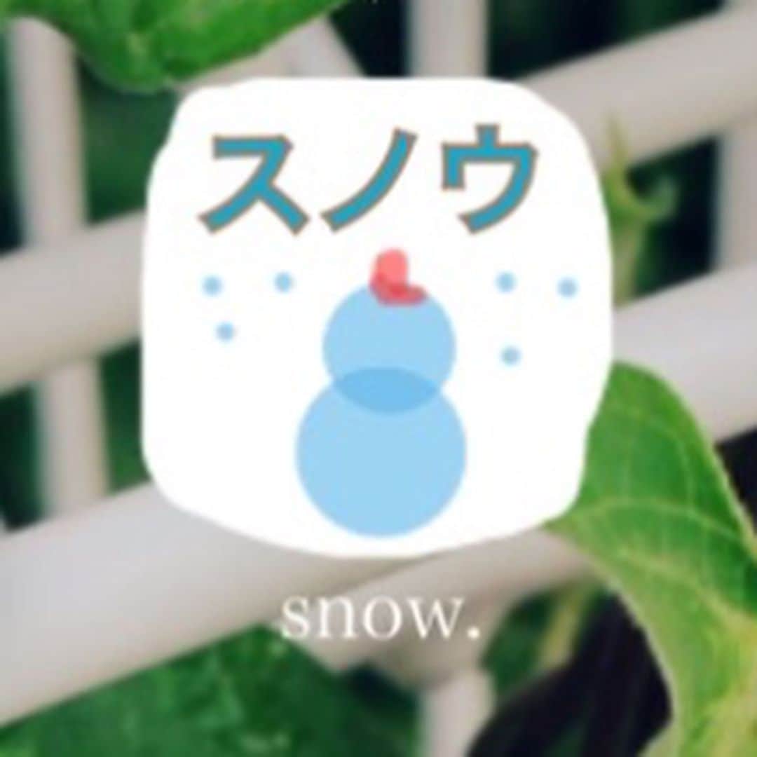 春川芽生さんのインスタグラム写真 - (春川芽生Instagram)「. 1枚目。ついに始めたアプリと 2枚目。昔おすすめされた時に名前だけで予想してみたアプリと 3枚目、4枚目、その内容です。 よろしくお願いします。」10月5日 14時33分 - meiku_harukawa