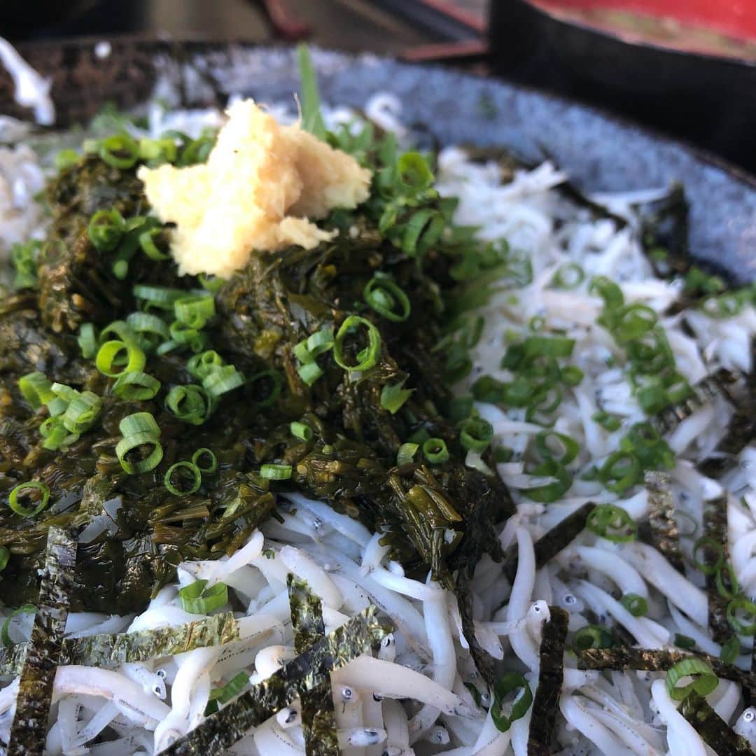 馬場典子さんのインスタグラム写真 - (馬場典子Instagram)「#釜揚げしらす #アカモク #二色丼 と、旬の#太刀魚 の天ぷら  真夏日の10月に#葉山 の海」10月5日 15時53分 - baba_channel