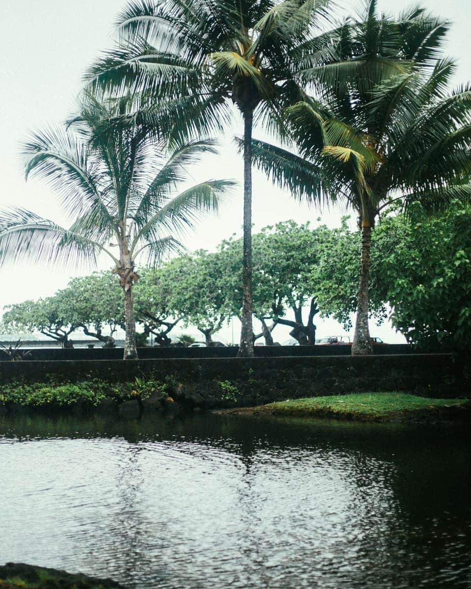 Instagenic Hawaiiさんのインスタグラム写真 - (Instagenic HawaiiInstagram)「Aloha🌺 こちらの 鳥居は、 ハワイ島ヒロにあるリリウオカラニ庭園にありますよ😊  リリウオカラニ庭園は、砂糖きび時代の日本からの移民を記念して造られた世界最大級の日本庭園です。 鳥居や太鼓橋、 石灯籠など日本を感じられるスポットです。  ヒロ湾を望みながらゆっくりした時間を過ごしてみてください  #ハワイ #hawaii #ハワイ島 #islandofhawaii #ハワイ島ヒロ #ハワイ島観光 #ハワイ島大好き #鳥居 #鳥居⛩ #鳥居のある風景  #日本庭園 #日本庭園を眺めながら #庭園 #世界最大級  #誰かに見せたい景色 #誰かに見せたい風景」10月5日 16時30分 - gohawaii_jp