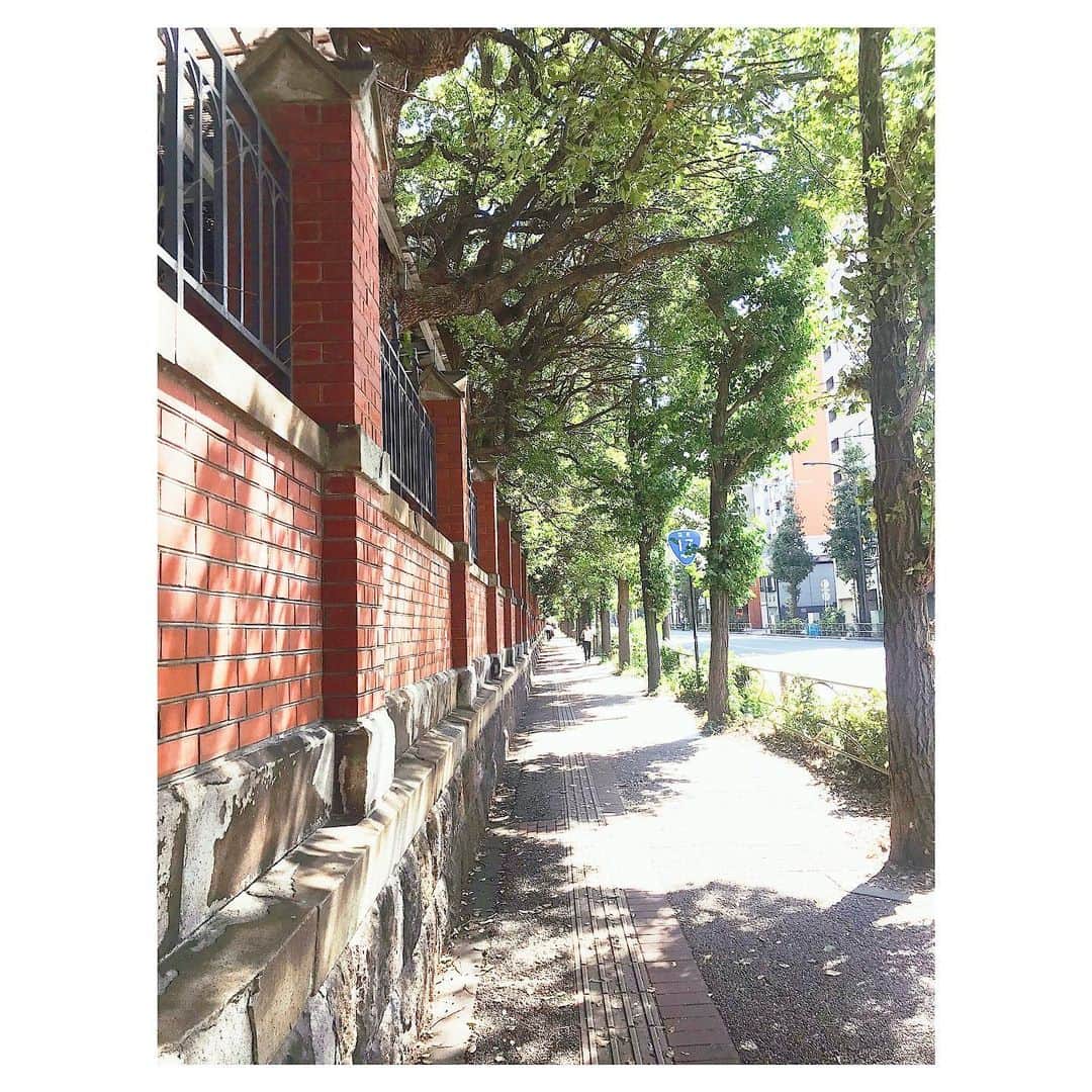 藤森香衣さんのインスタグラム写真 - (藤森香衣Instagram)「とても美しい道。  間違って、東大の方に歩いて行ったら すごく 綺麗だった。  #秋 #道 #迷った #東大 #良い天気」10月5日 16時31分 - kaefujimori