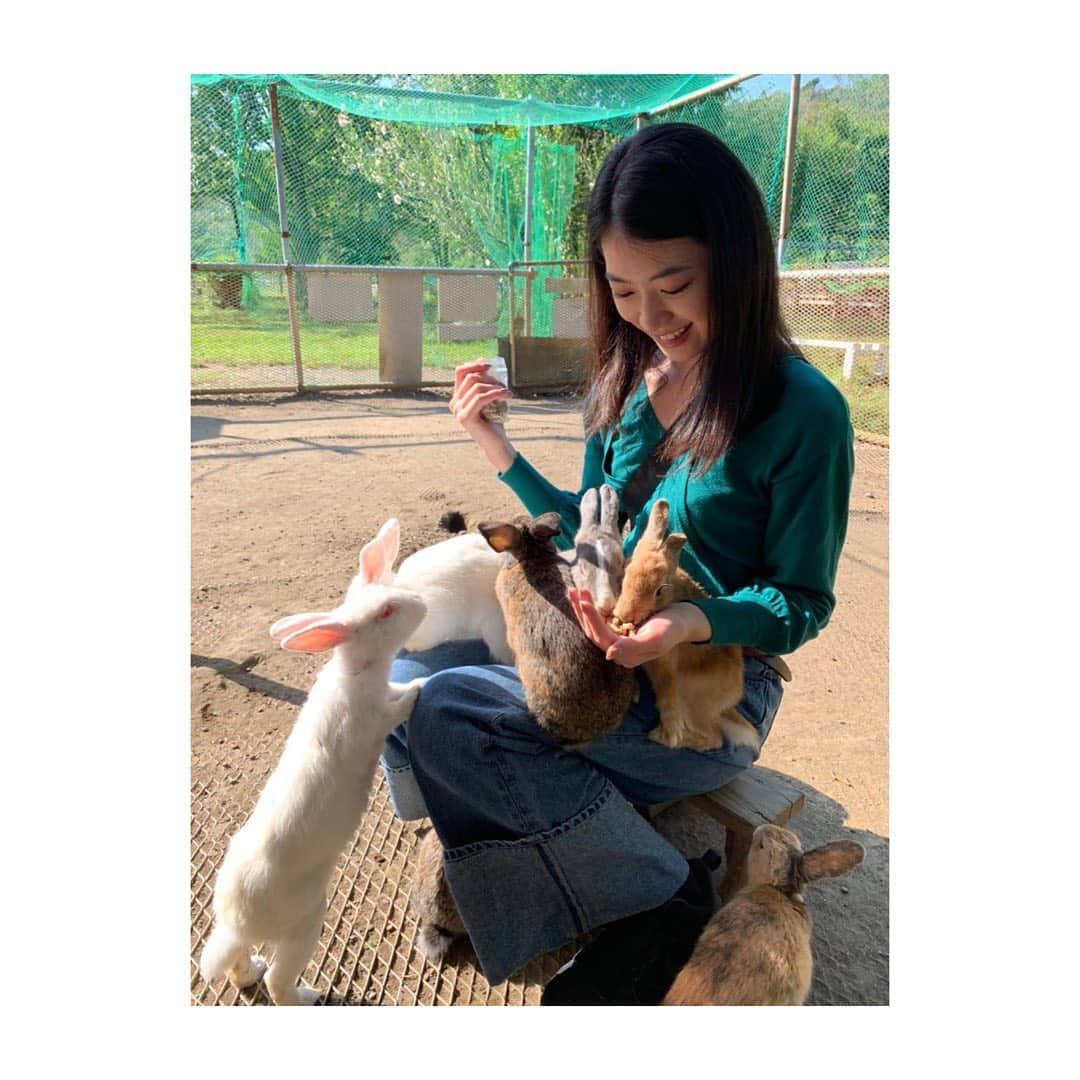 安田聖愛さんのインスタグラム写真 - (安田聖愛Instagram)「動物と触れ合う安田三枚。﻿ 実は、姉が飼っていたうさぎさんショコラが今年の2月に旅立ってしまったのでうさぎと触れ合うの久々でめちゃ幸せだった。﻿ モルモットの赤ちゃん初めて見た、可愛かった。﻿ ヤギはストーカーだった。﻿ ﻿ #とある休日　#動物と触れ合おう﻿ #うさぎ　#もふもふ #モルモット　#ヤギ﻿」10月5日 16時50分 - seiayasuda