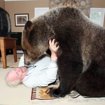 佐伯ポインティさんのインスタグラム写真 - (佐伯ポインティInstagram)「突然でっかいクマと触れ合いたくなって調べてたけど、成長しきったクマと触れ合える施設はなかった。人間と触れ合いたいと思ってる野生のクマと出会えるマッチングアプリが欲しい」10月5日 20時32分 - saekipointy