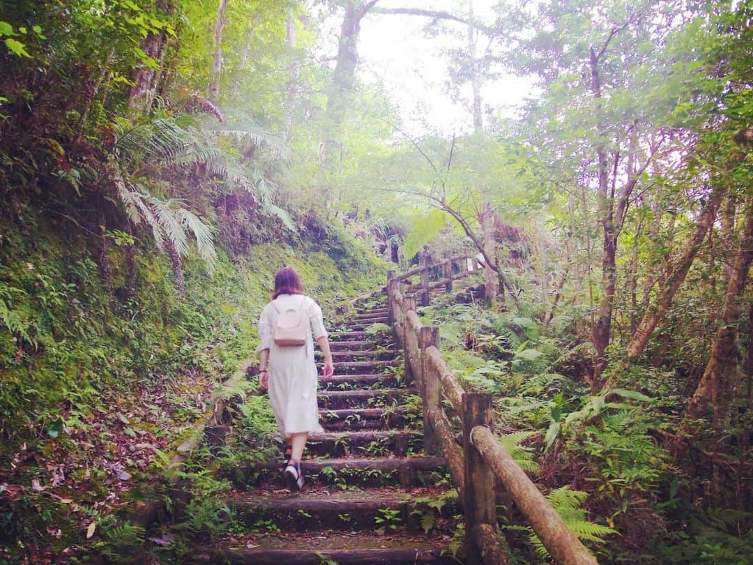 澤村小夜子さんのインスタグラム写真 - (澤村小夜子Instagram)「6時に起きたら素晴らしい朝日を見られた🌅♡ . 午前中から観光しながら奄美の島を🚙で半周◎ カヌーしたり水中観光船に乗ったり マテリヤの滝で湿った良い匂いを嗅いだり(๑′ᴗ‵๑) こんなにたくさん回れたの初めてで嬉しい👏🏻 . 念願だった星空も自分のカメラで撮影できて もう思い残すことはないな、、😆 . といいつつ明日は陶芸体験をするぞー！ . . #奄美大島 #旅行 #マングローブパーク #水中観光船せと #マテリヤの滝 #朝日 #星空 #土盛海岸 #クロマグロ養殖日本一のまち瀬戸内町」10月5日 22時01分 - sayako_negoto