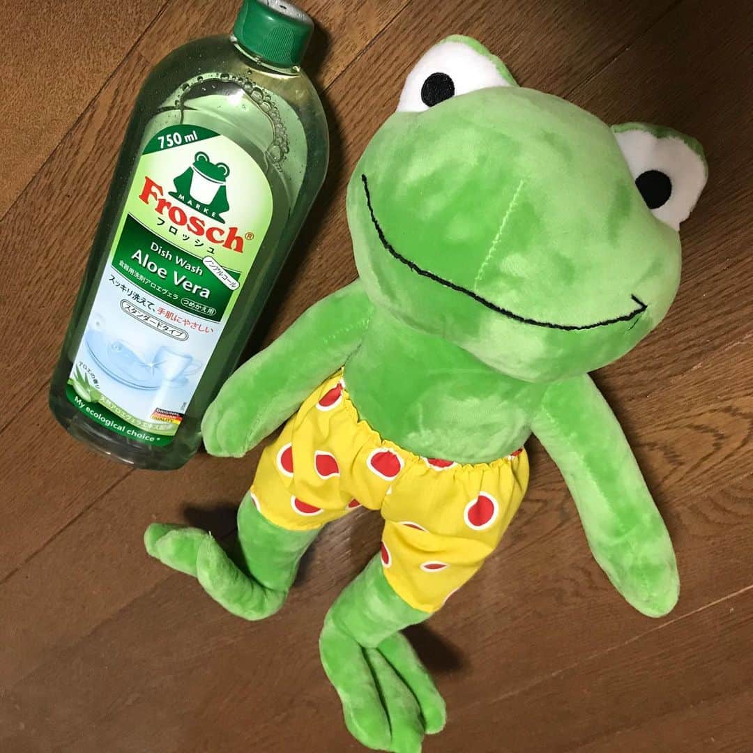 大西蘭のインスタグラム：「・ @frosch.jp さんからいただきました🎁 ・ フロッシュはよく使っているから嬉しい😊 ・ 可愛いカエルちゃんも一緒に送られてきました🐸 ・ こぐまちゃんも喜んでいました🐻 ・ ソファには猫のモカちゃんも写ってます🐈 ・ ・ #frosch #プレゼントキャンペーン  #フロッシュ #台所用洗剤」