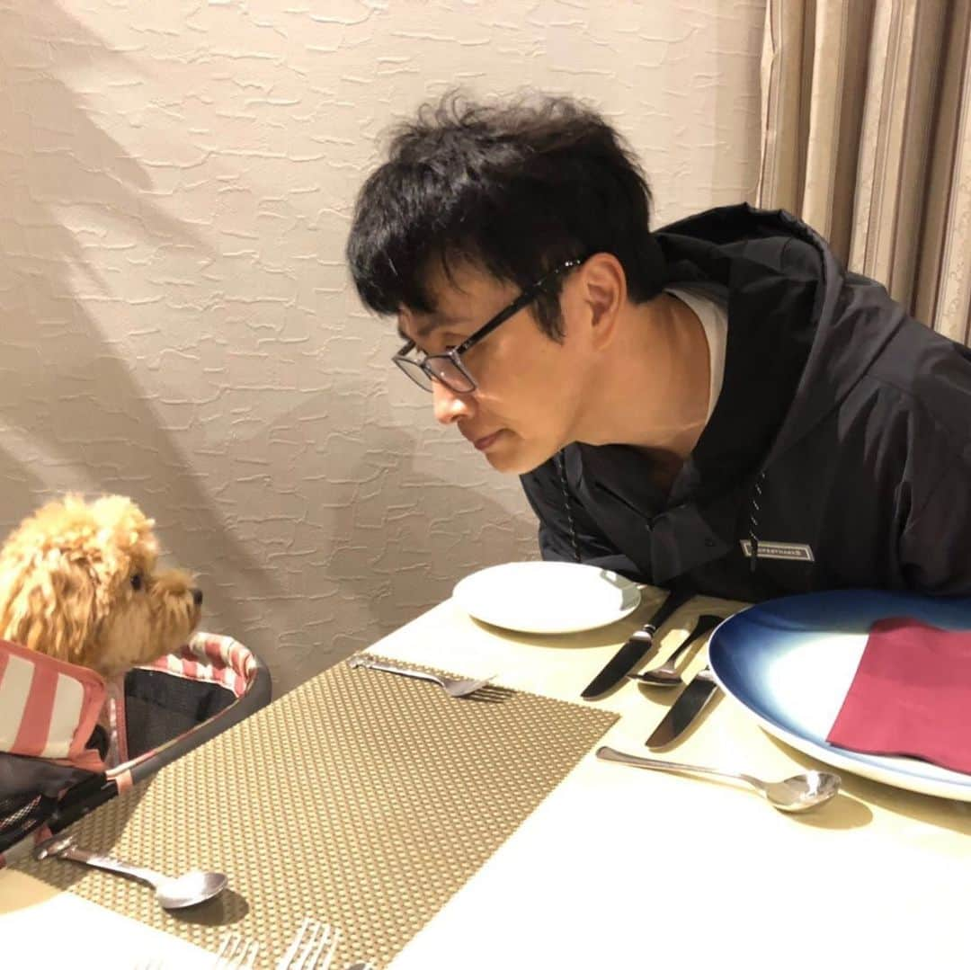 児嶋一哉さんのインスタグラム写真 - (児嶋一哉Instagram)「この前ネネと食事した 又行こう。」10月5日 22時30分 - kojikojikoji47