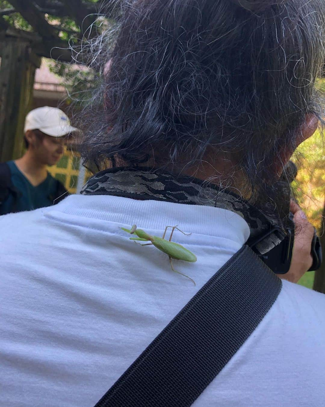 岡安弥生さんのインスタグラム写真 - (岡安弥生Instagram)「山でのロケで、カメラマンの背中に、カマキリ君。撮影中だから触ることできないし〜、と思いながら、見つめていると、 カマキリ君、両手を動かして、髪の毛で遊び始めました(≧∀≦)可愛い〜#ロケ#晴天#山#自然#カマキリ#カメラマン#可愛い#cameraman #mantis」10月5日 22時42分 - yayoin3