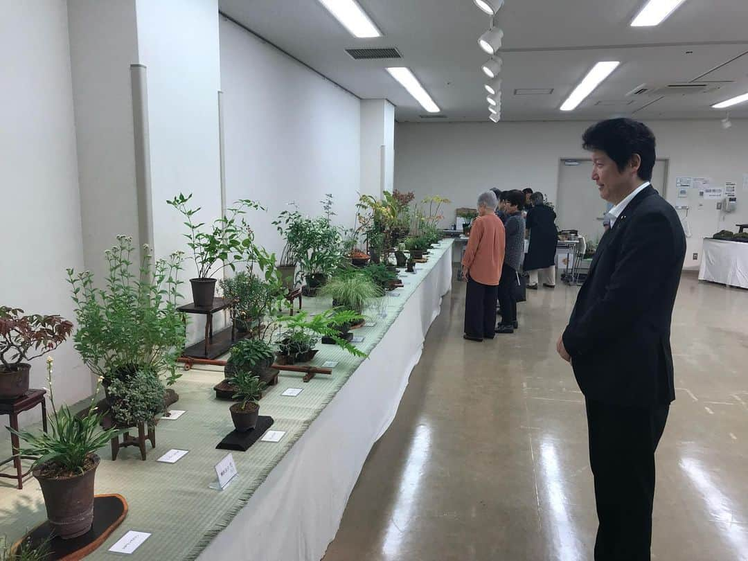 足立康史さんのインスタグラム写真 - (足立康史Instagram)「今日は、茨木市からスタートし「見山の郷」の収穫祭、箕面に移動し「秋の山野草展」http://www.minoh.net/detail.php?page=17443 はじめ秋の行事を楽しませていただきました！」10月5日 23時59分 - adachiyasushi