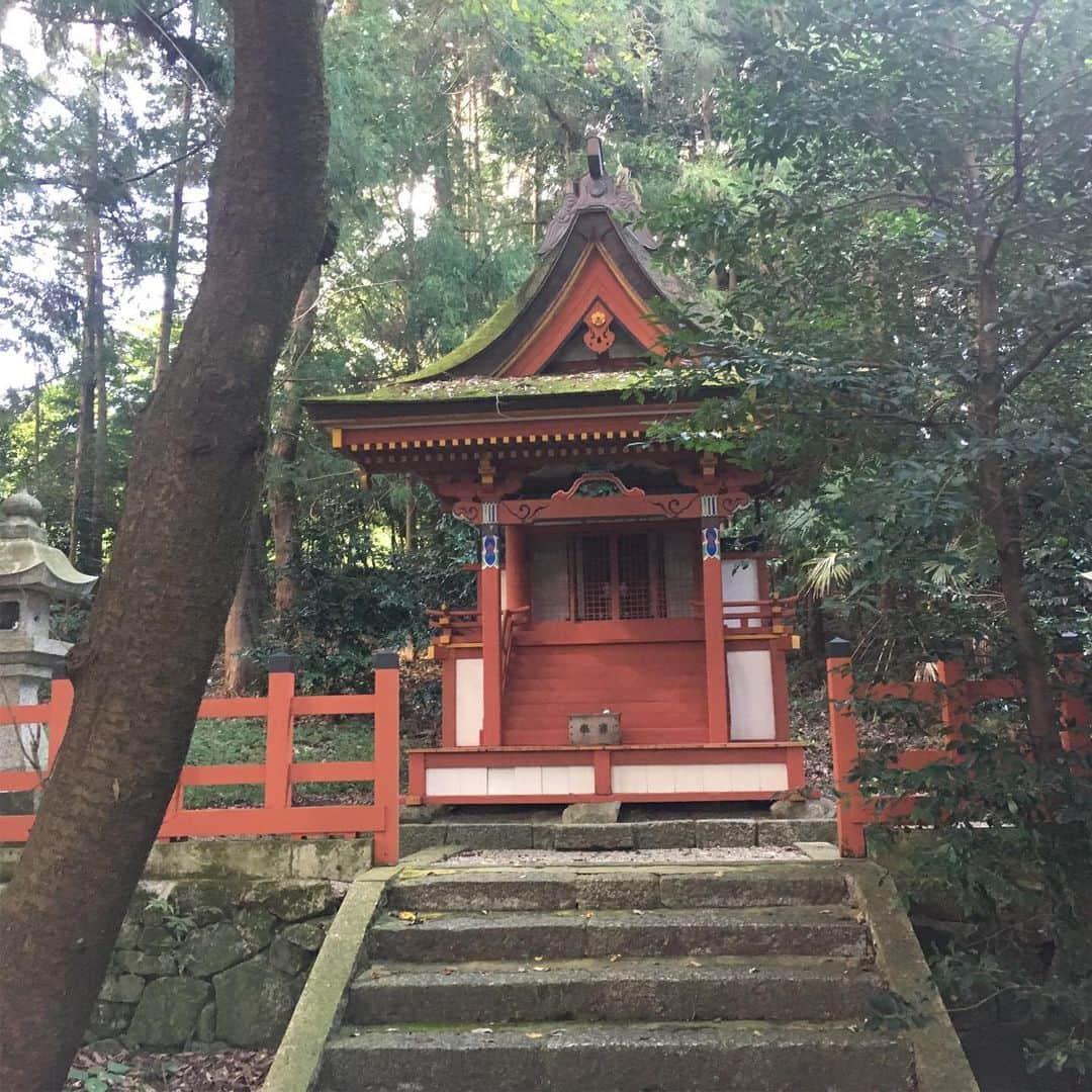 吉田一将さんのインスタグラム写真 - (吉田一将Instagram)「1人でふらっと #nara  #高鴨神社 #カモ神社の総本社 #鴨氏一族発祥の地 #高天彦神社 #もう１つの天孫降臨の地 #高天原 #気分転換 #神社巡り #それ以上でもそれ以下でもない」10月6日 0時16分 - y.kazumasa_