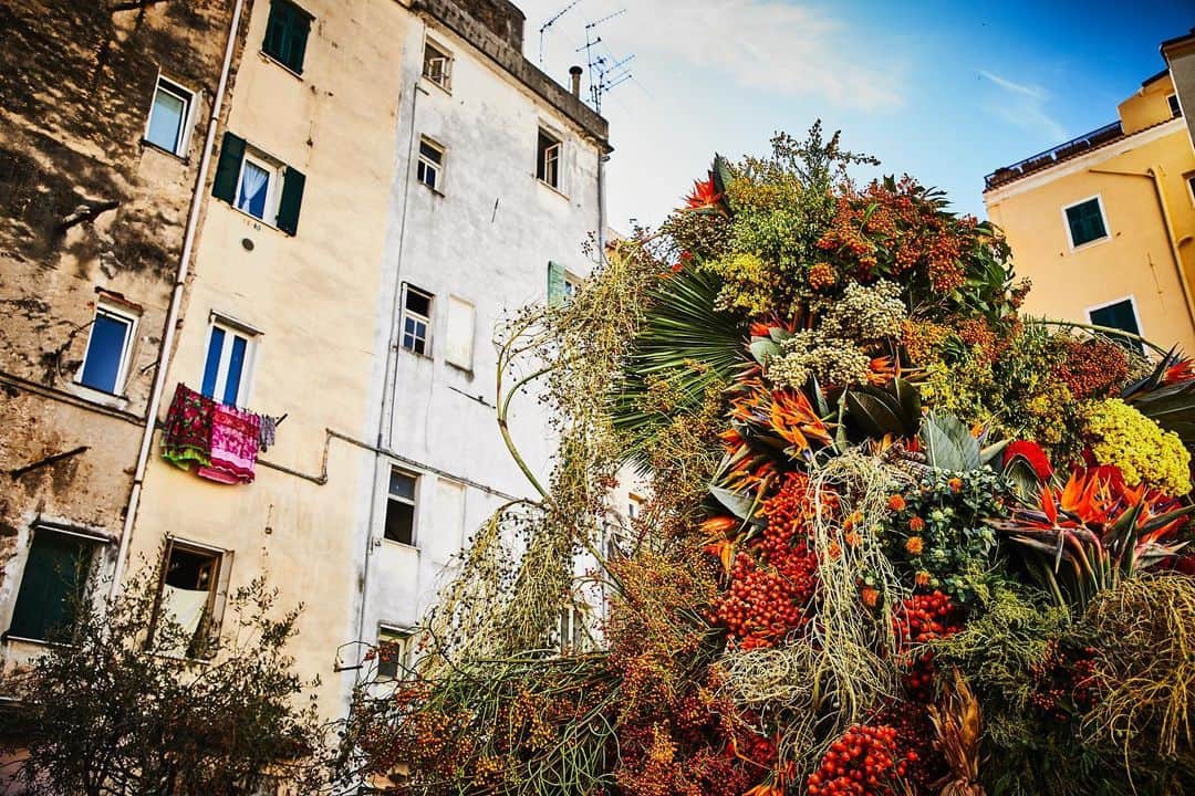 椎木俊介のインスタグラム：「Botanical Sculpture in Sanremo  Date: October 3 Thursday, 2019 Location: Piazza Sansiro  43.816754,7.773636 *Please insert this numbers to your Google map.  @azumamakoto @amkk_project @shiinokishunsuke  #azumamakoto #makotoazuma #shiinokishunsuke #amkk #amkkproject #flowers #flowerart #botanicalsculpture #東信 #東信花樹研究所 #itaria #sanremo」