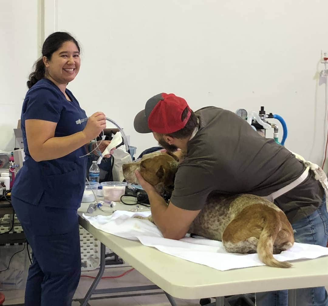 キャサリン・ハイグルさんのインスタグラム写真 - (キャサリン・ハイグルInstagram)「A huge thank you to everyone who helped make our spay/neuter and vaccination clinic at the Confederated Tribes of the Goshute Reservation in Ibapah, UT such a success last weekend! My foundation @jasonheiglfoundation sponsored the event where our partners @nuzzlesandco performed 82 sterilizations and vaccinated 95 pets. A food pantry and animal supply giveaway was also held for the local community.  Every year over 1.5 million cats and dogs are euthanized in shelters across the country simply for lack of a loving home. Helping communities where residents often cannot afford to get their animals fixed, helps prevent pet overpopulation, suffering and unnecessary euthanization. Communities spend millions of tax payer dollars each year coping with problems that spaying and neutering could easily remedy.  Please spay and neuter your pets!」10月6日 3時23分 - katherineheigl